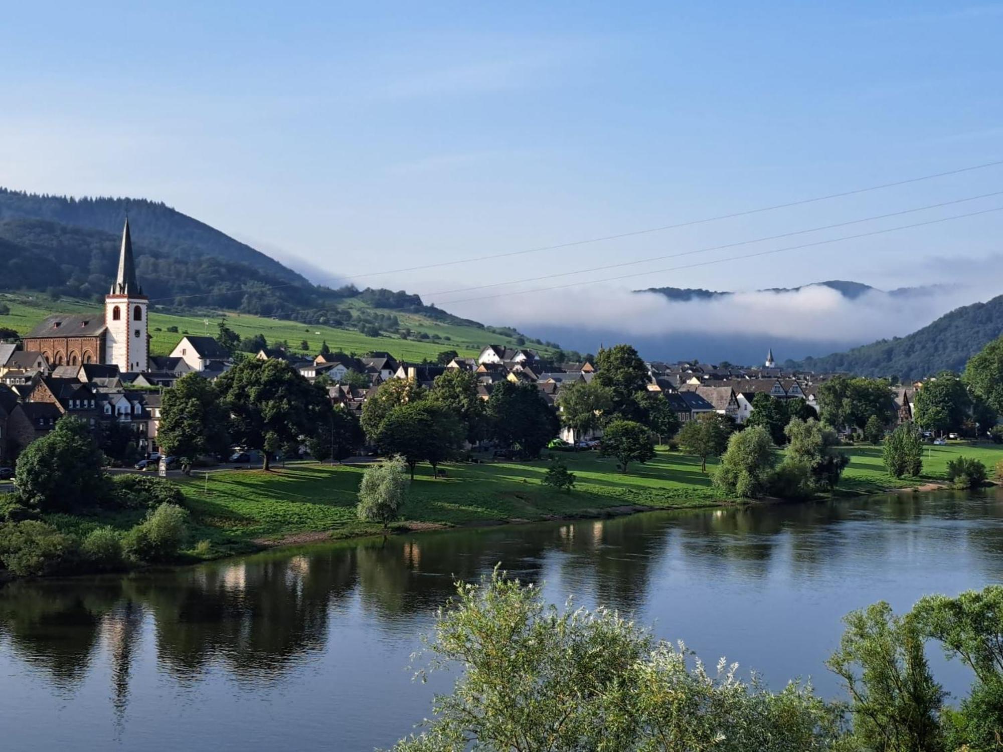 Ferienhaus Im Moseltal Bruttig-Fankel Bagian luar foto
